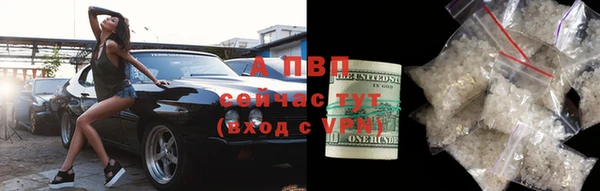 гашик Белокуриха
