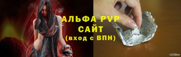 гашик Белокуриха