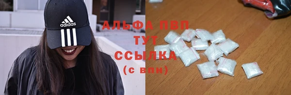 гашик Белокуриха