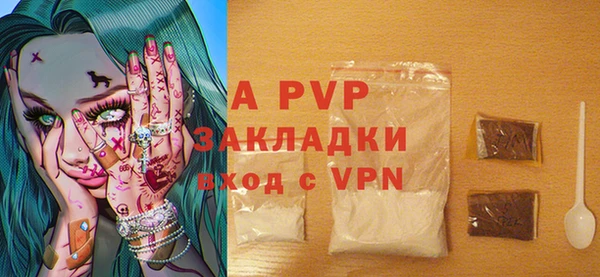 гашик Белокуриха