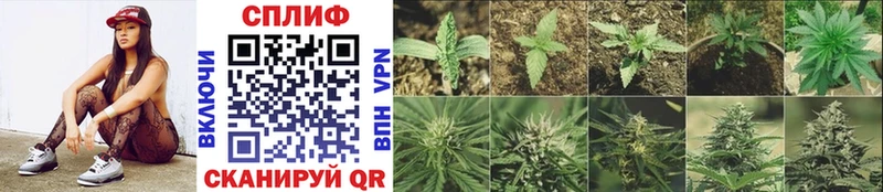 Марихуана White Widow  Называевск 